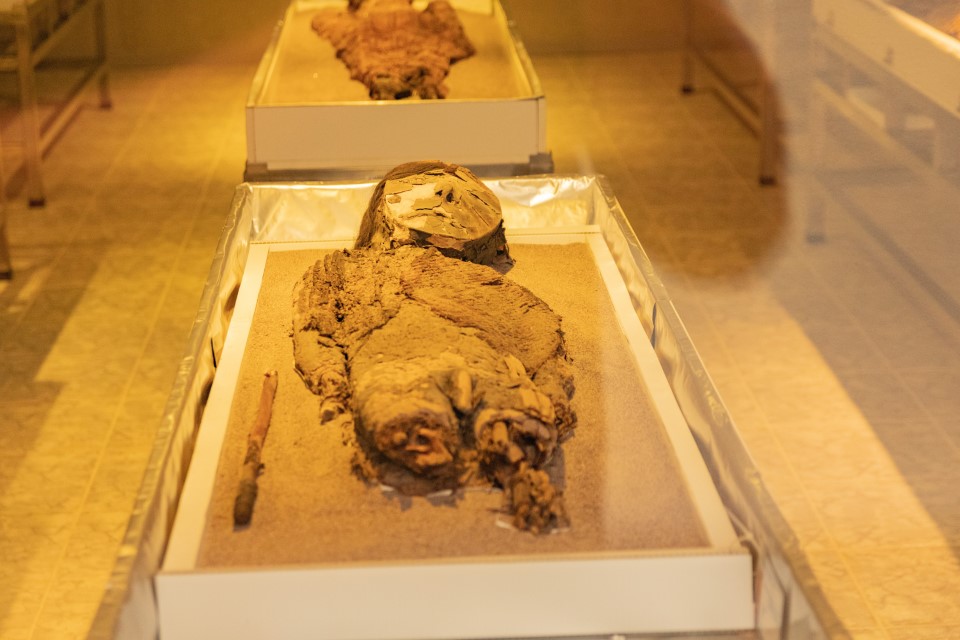 oldest mummy in the world in conservation room