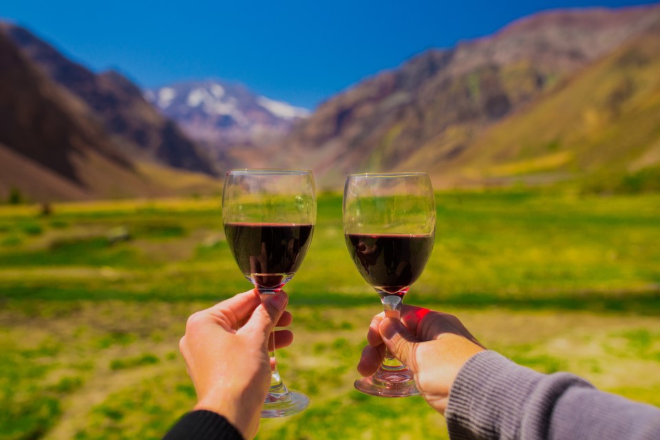 tasting wine in chile winter with snow